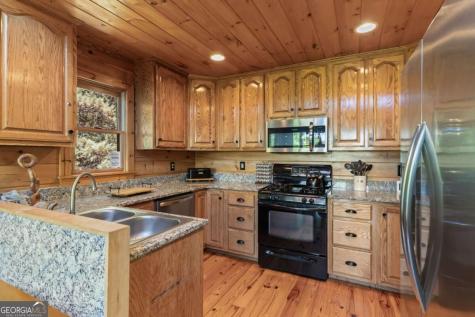 229 Old Mill Pond Road Mineral Bluff GA 30559