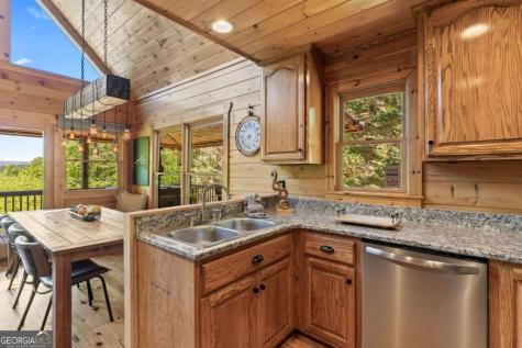 229 Old Mill Pond Road Mineral Bluff GA 30559