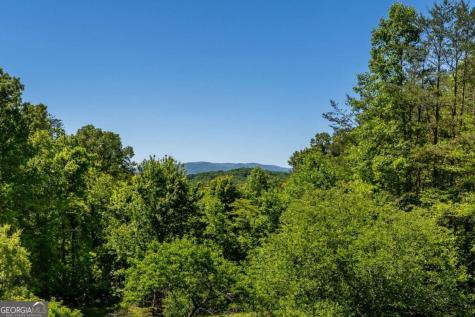 229 Old Mill Pond Road Mineral Bluff GA 30559