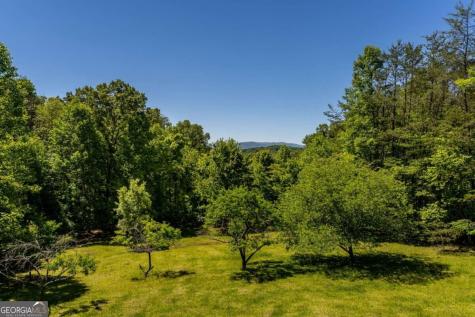 229 Old Mill Pond Road Mineral Bluff GA 30559