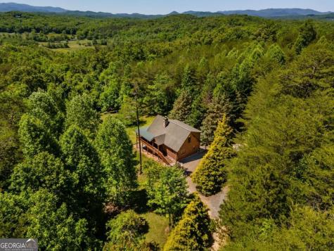 229 Old Mill Pond Road Mineral Bluff GA 30559