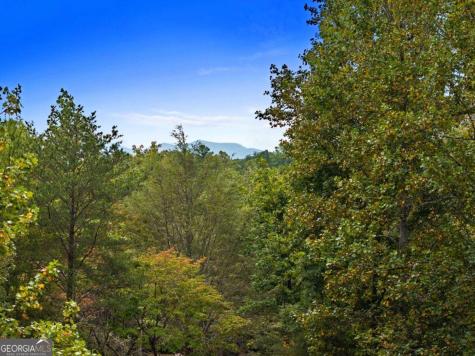 55 Trails End Lane Morganton GA 30560