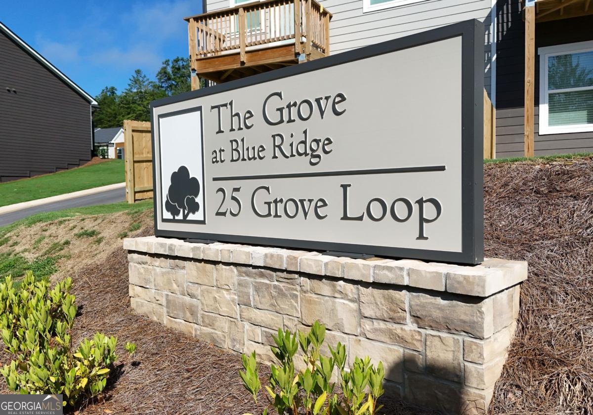 25 Grove Loop Blue Ridge GA 30513