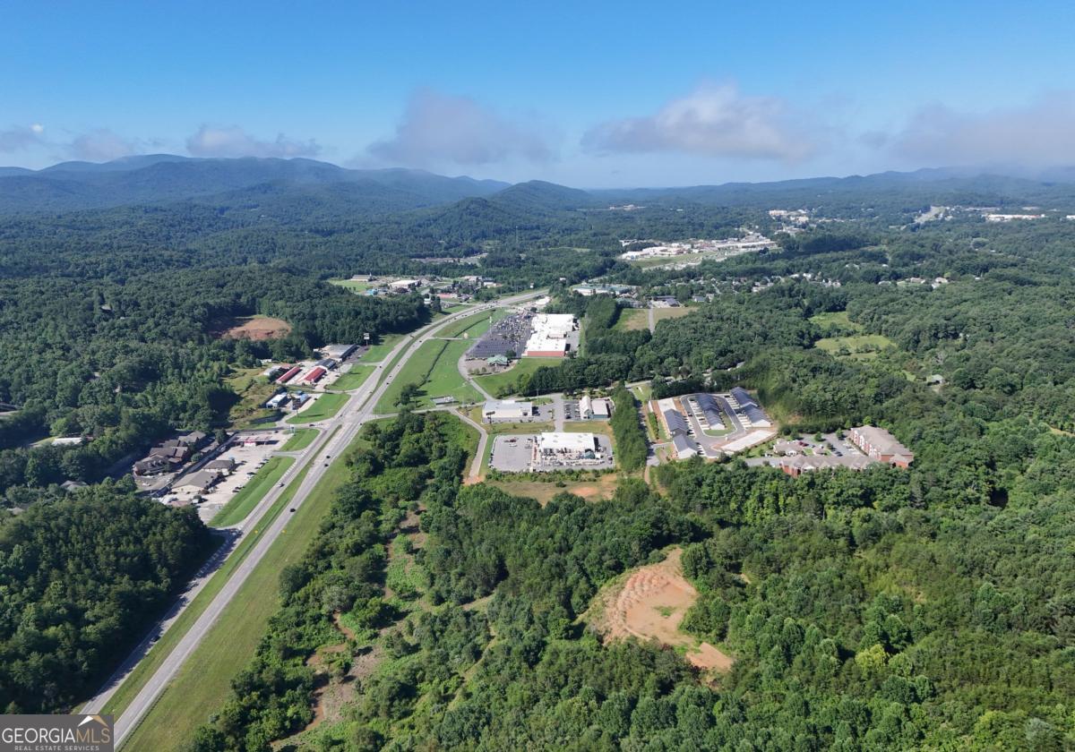25 Grove Loop Blue Ridge GA 30513