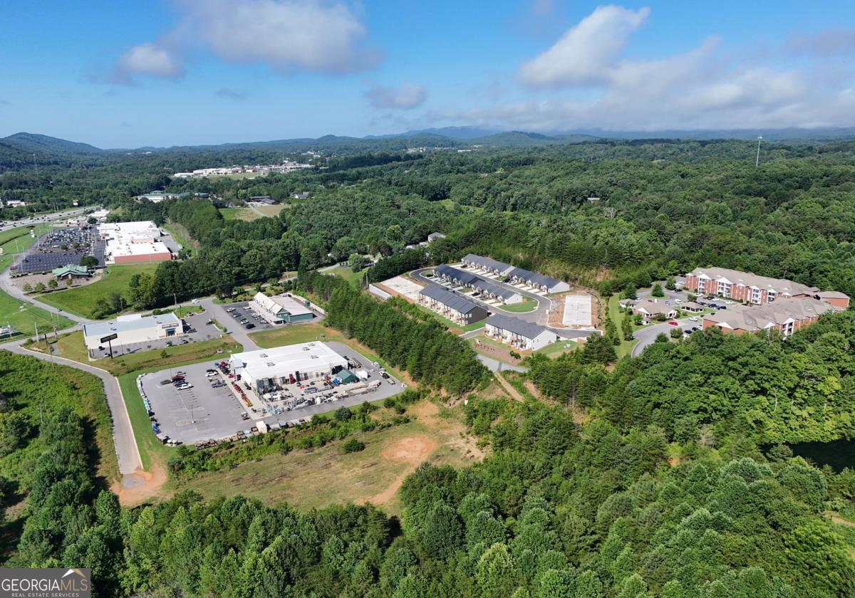 25 Grove Loop Blue Ridge GA 30513