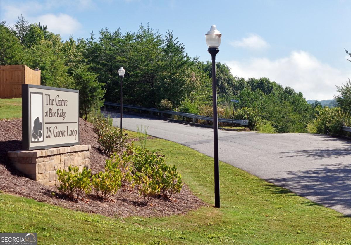 25 Grove Loop Blue Ridge GA 30513