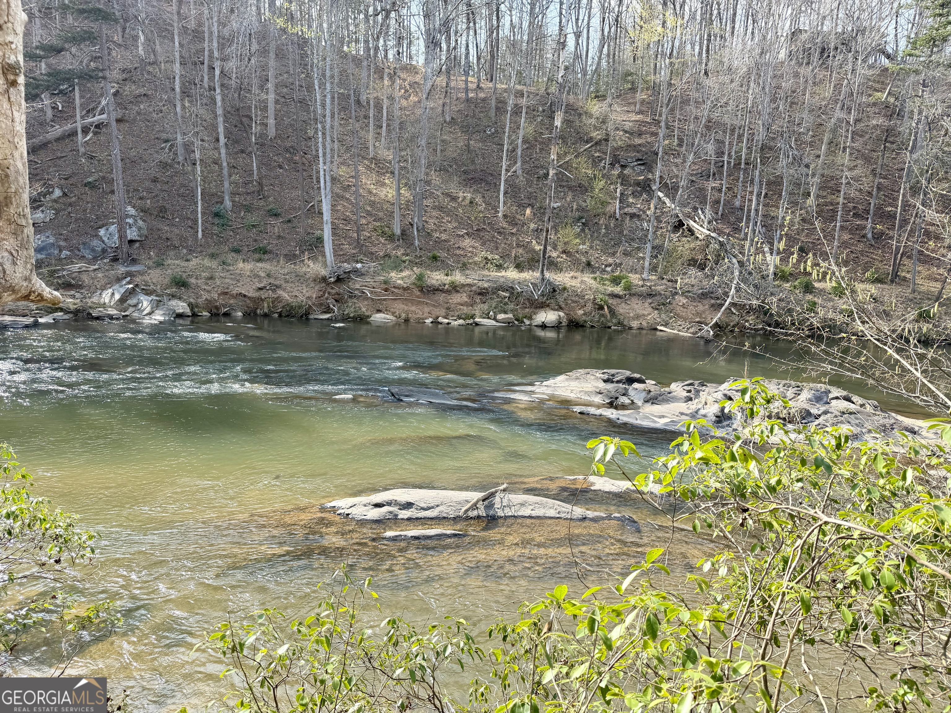 125 River Run Trail Cornelia GA 30531