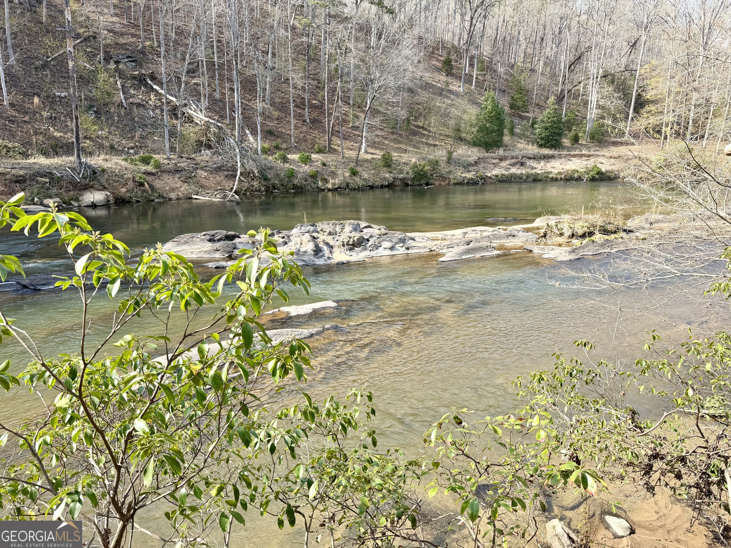 125 River Run Trail Cornelia GA 30531