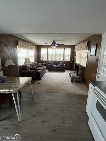 22 Leisure Woods Circle Hiawassee GA 30546