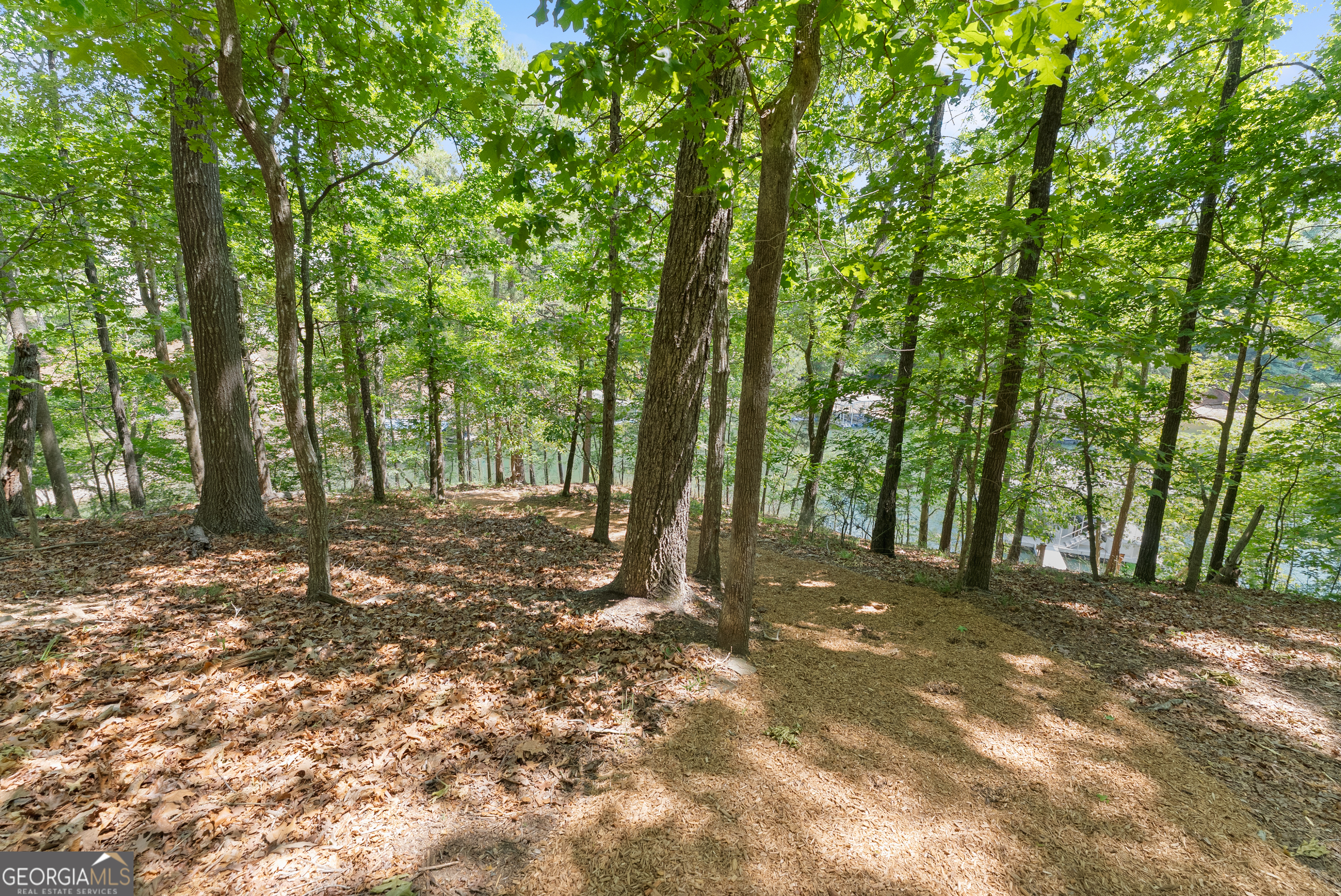 5611 Lanyard Court Gainesville GA 30504