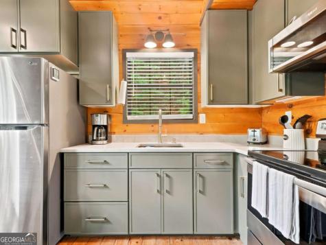 220 Oak Loop Mineral Bluff GA 30559