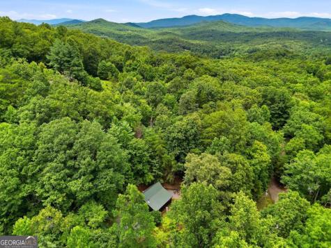 220 Oak Loop Mineral Bluff GA 30559