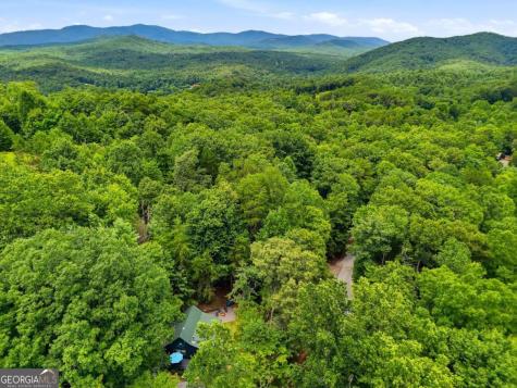 220 Oak Loop Mineral Bluff GA 30559