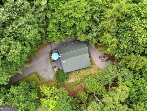 220 Oak Loop Mineral Bluff GA 30559