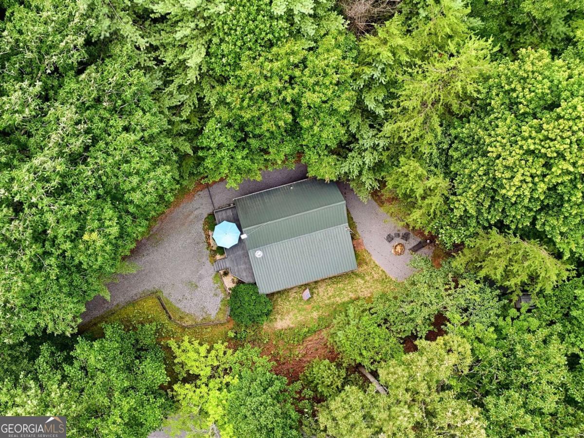 220 Oak Loop Mineral Bluff GA 30559
