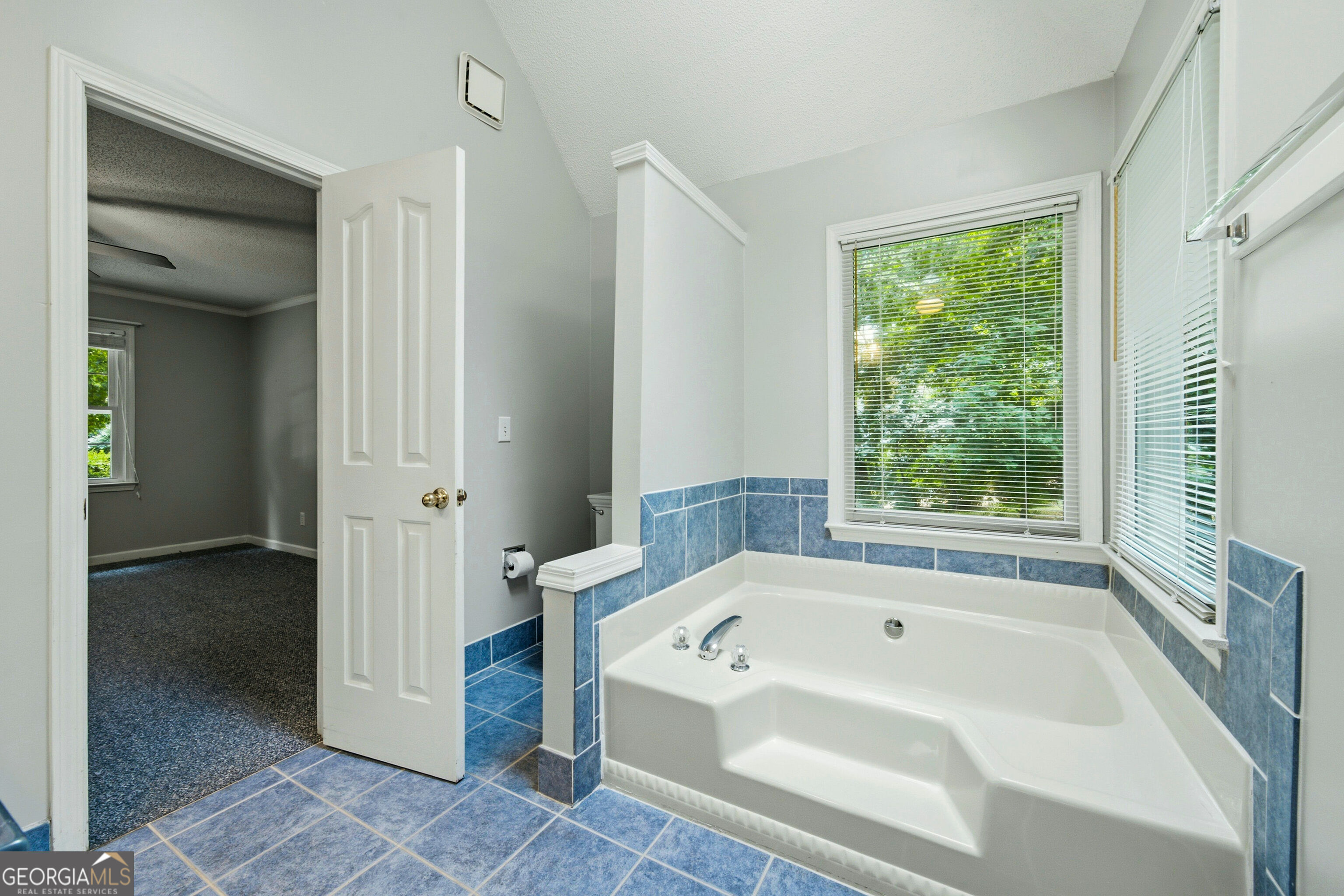 806 Carradale Court Peachtree City GA 30269