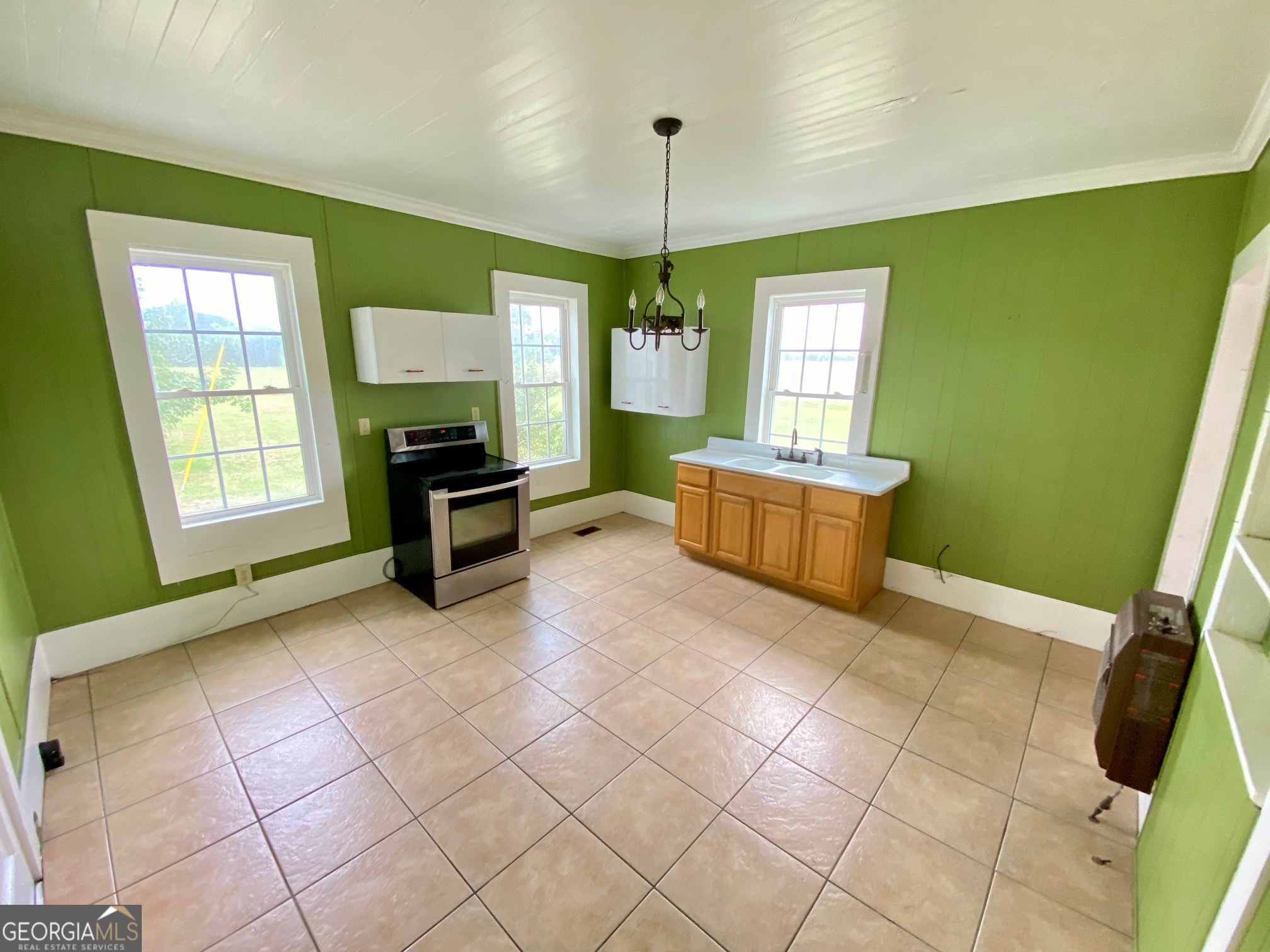 1088 Tippettville Road Pineview GA 31071