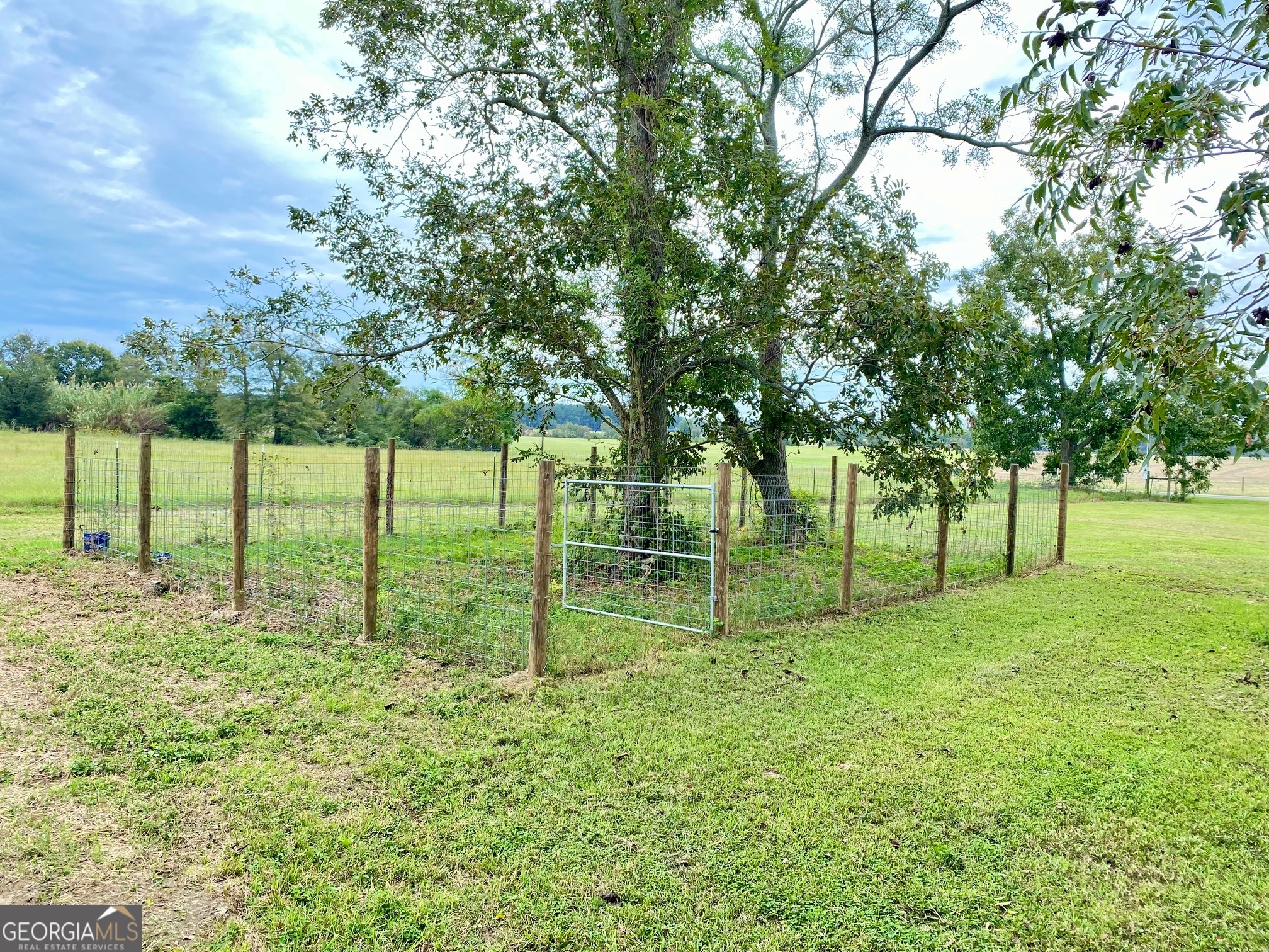 1088 Tippettville Road Pineview GA 31071