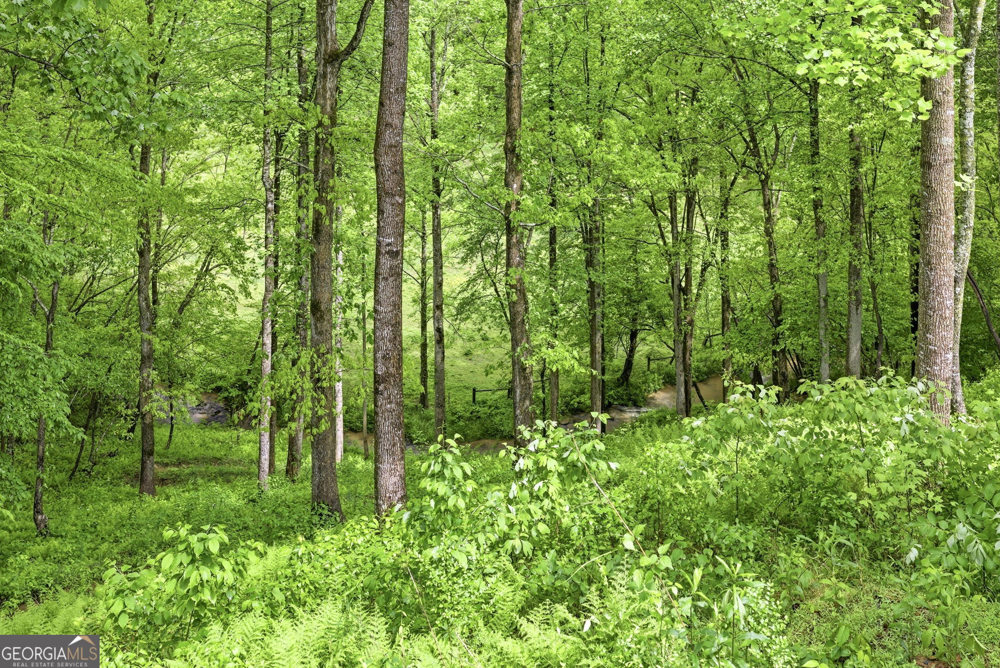 137 Thornwood Lane Ellijay GA 30540