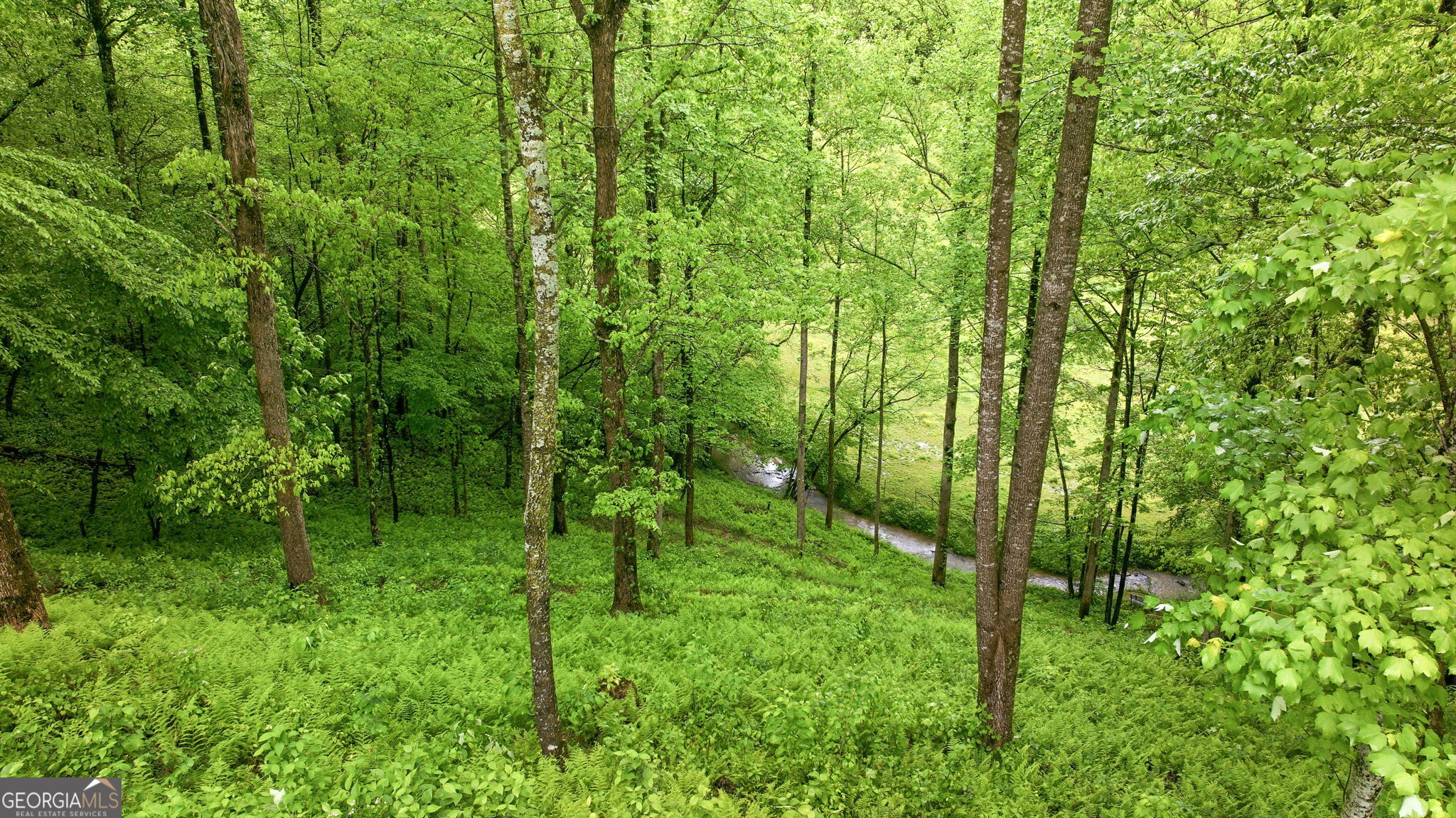 137 Thornwood Lane Ellijay GA 30540