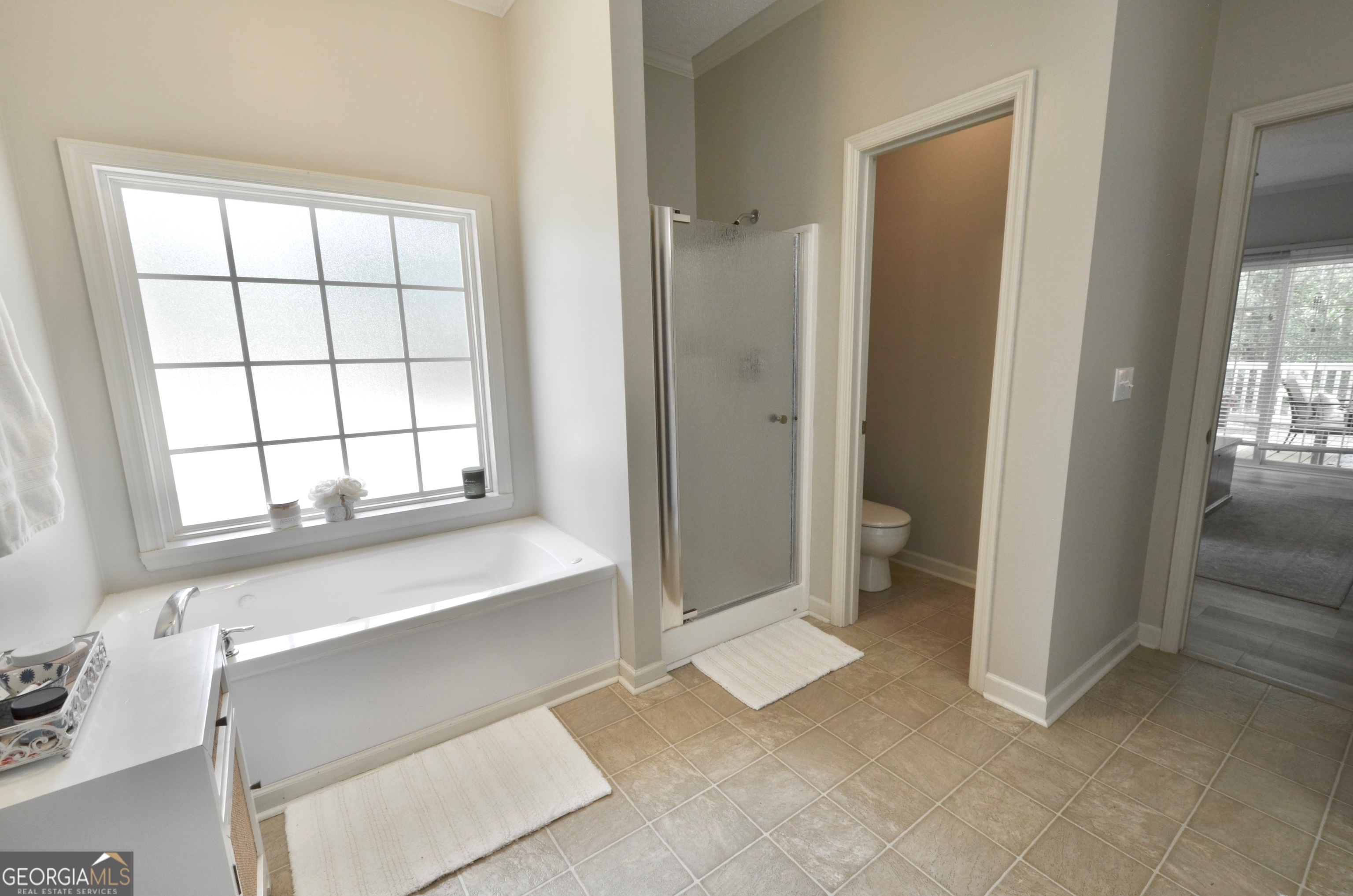6521 Larch Lane Eastman GA 31023