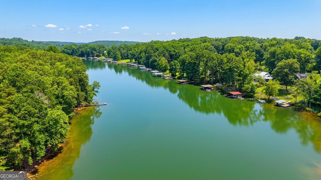 17 Lake Sydney Drive Dawsonville GA 30534