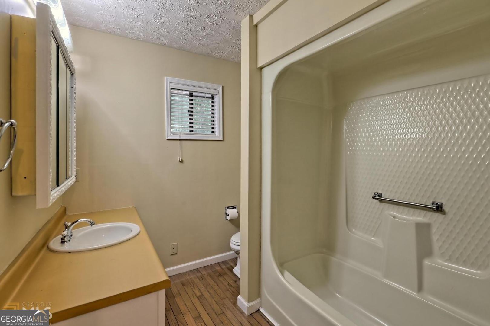 414 Leaning Chimney Drive Clayton GA 30525