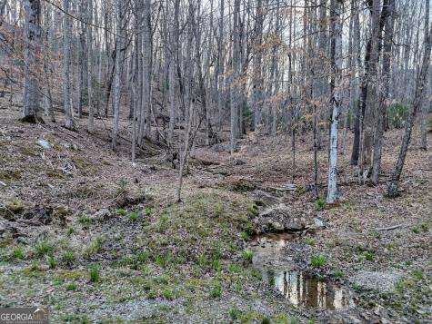 633 Timber Ridge Road Blairsville GA 30512