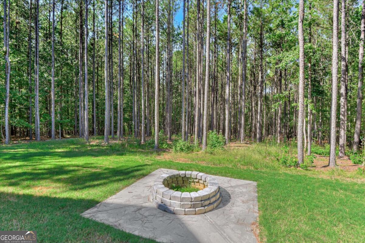 1165 Watersedge Cove Tignall GA 30668