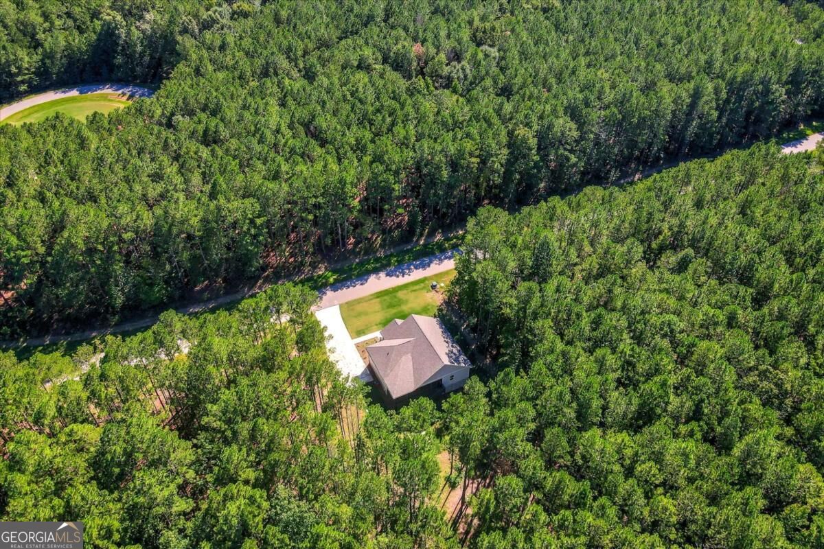 1165 Watersedge Cove Tignall GA 30668
