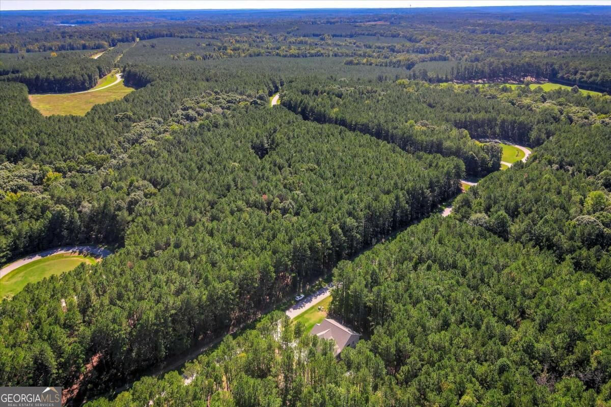 1165 Watersedge Cove Tignall GA 30668
