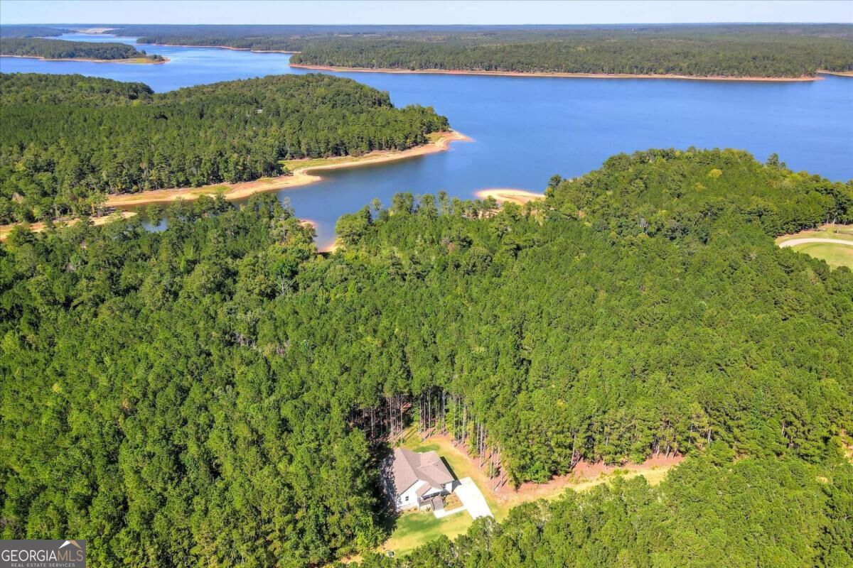 1165 Watersedge Cove Tignall GA 30668