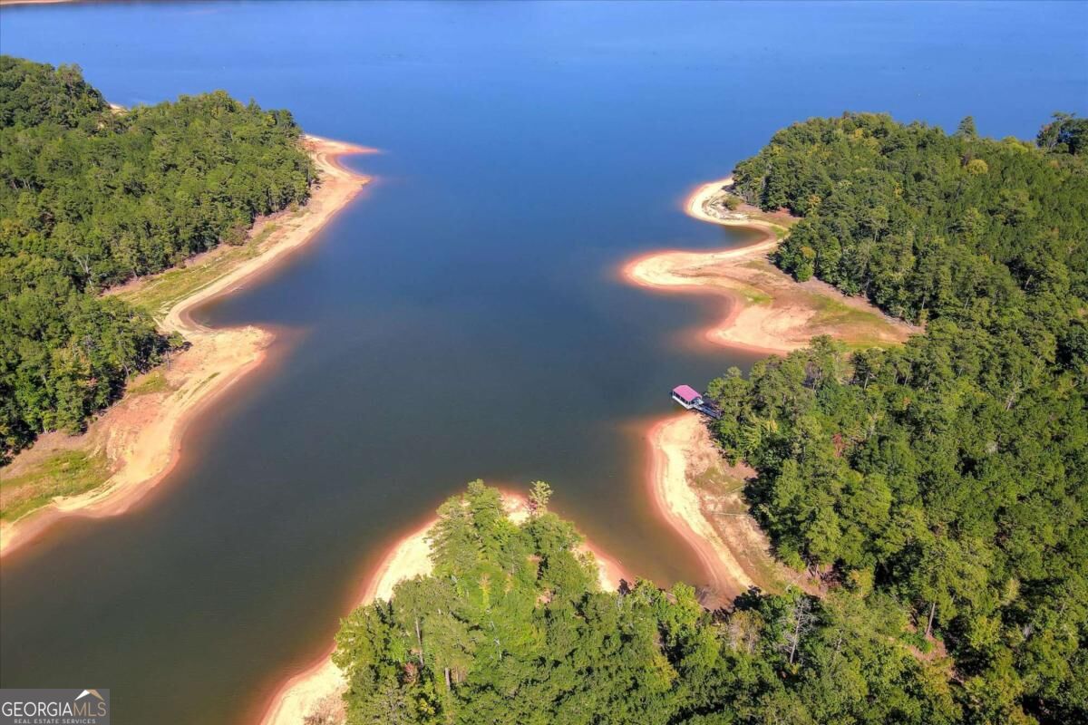 1165 Watersedge Cove Tignall GA 30668