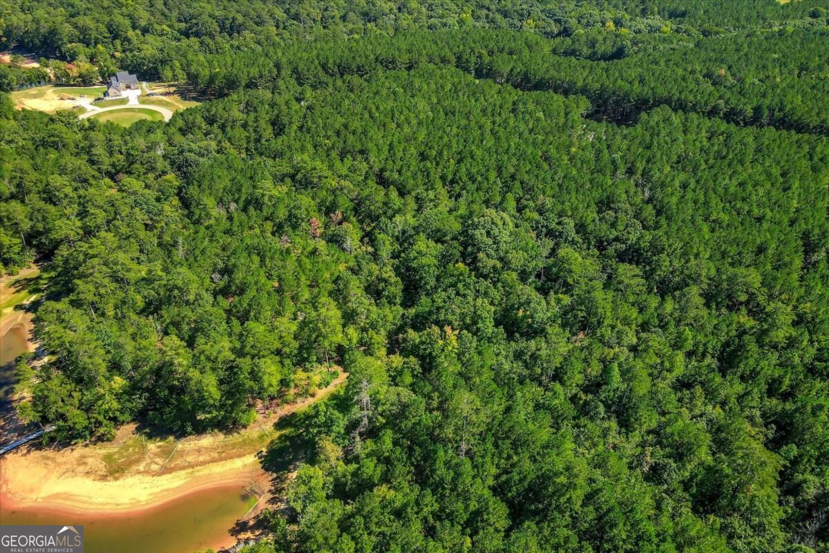 1165 Watersedge Cove Tignall GA 30668