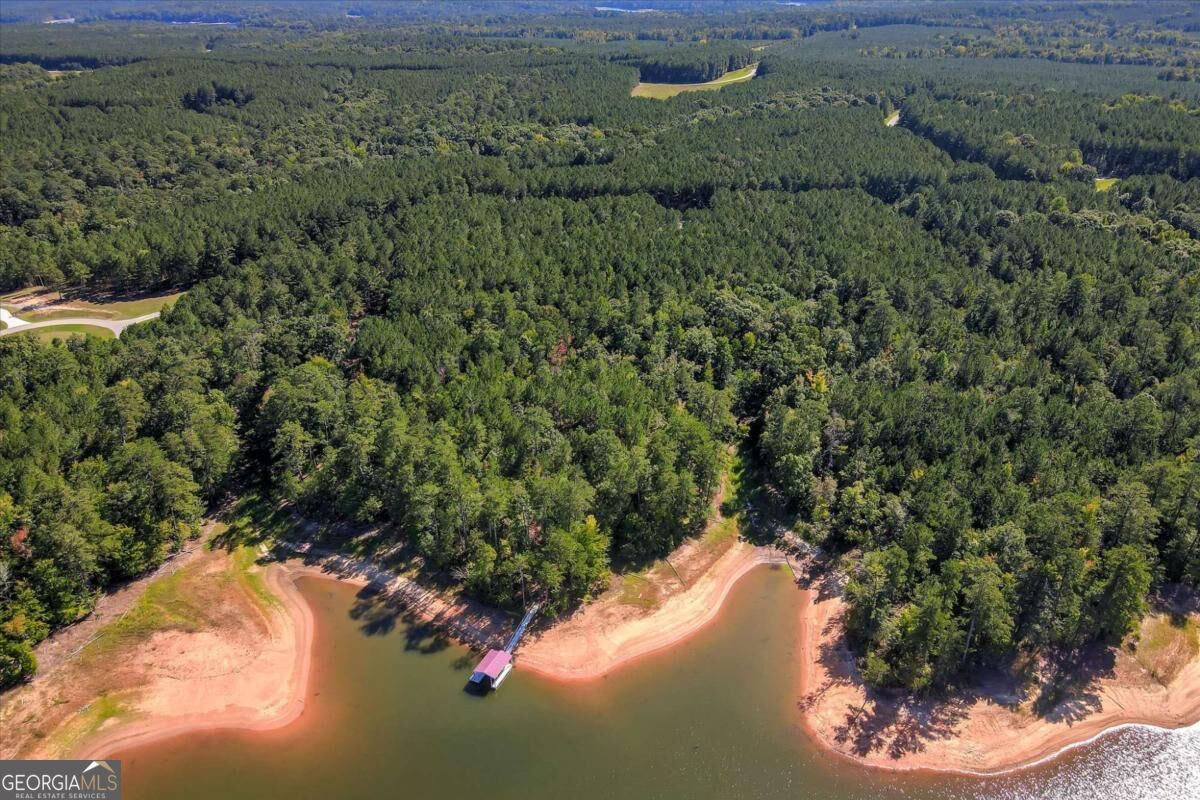 1165 Watersedge Cove Tignall GA 30668