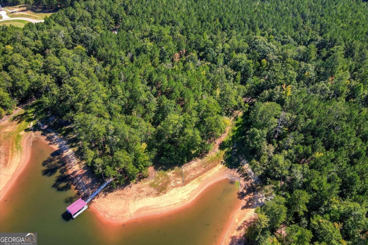1165 Watersedge Cove Tignall GA 30668