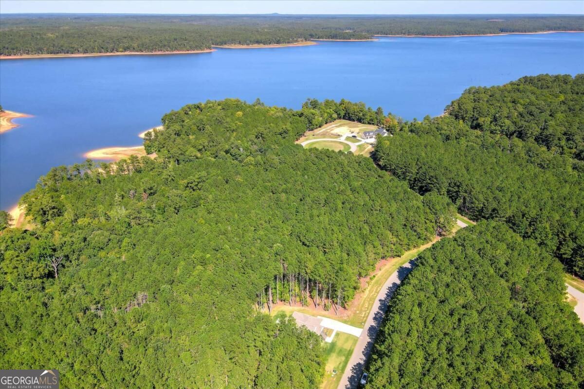 1165 Watersedge Cove Tignall GA 30668