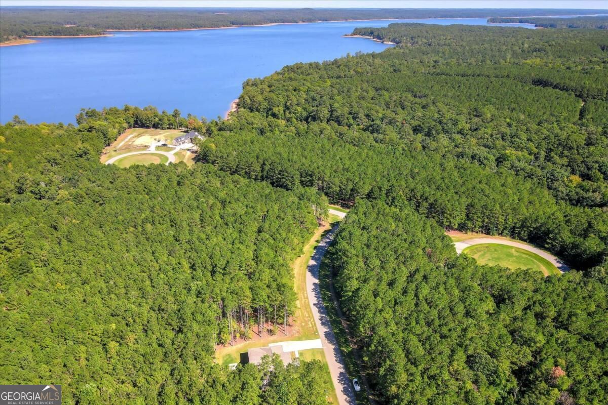 1165 Watersedge Cove Tignall GA 30668