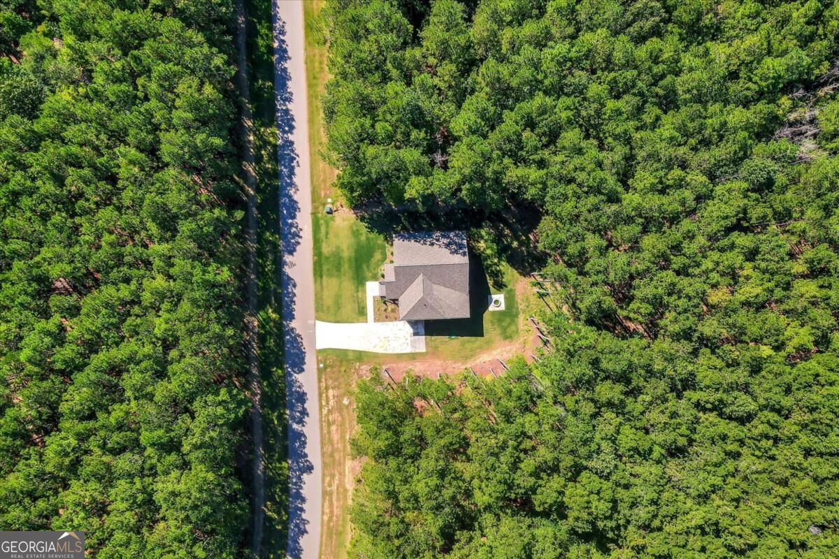 1165 Watersedge Cove Tignall GA 30668