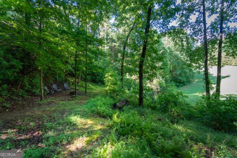 81 Dach Bruecke Gasse Helen GA 30545