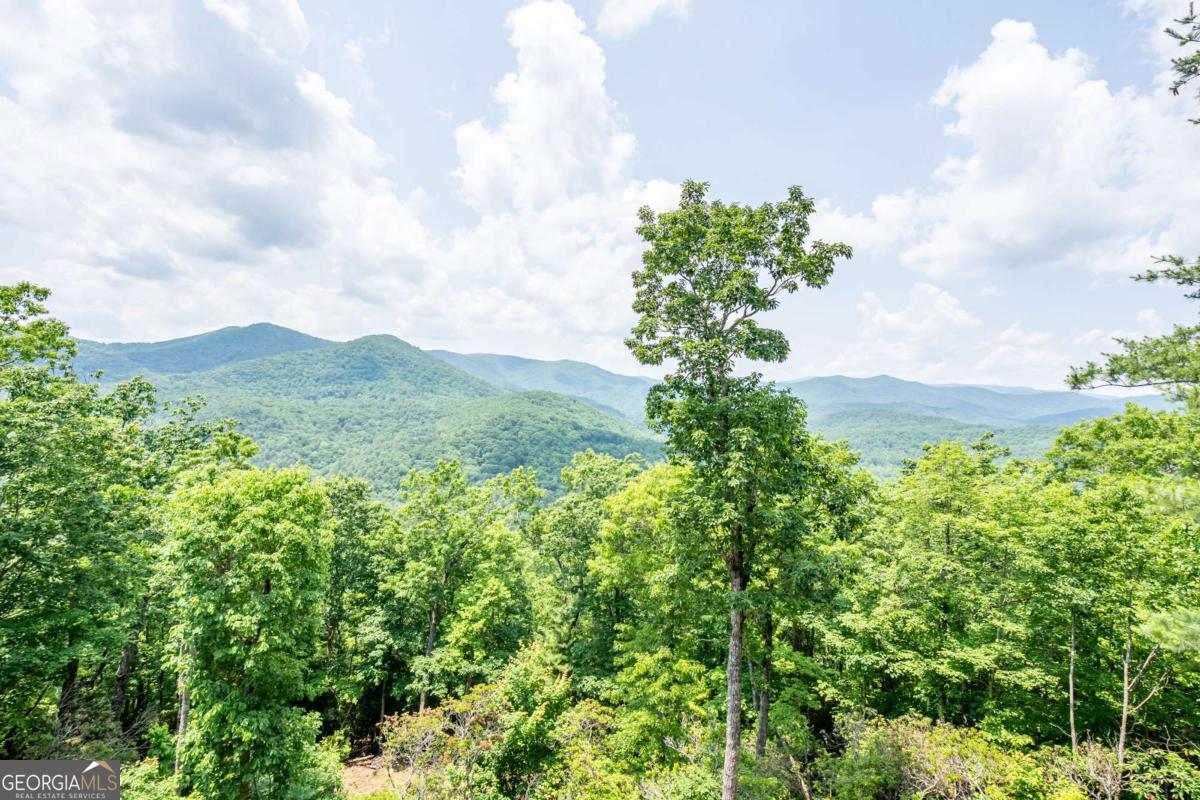 670 Brittney Drive Blue Ridge GA 30513