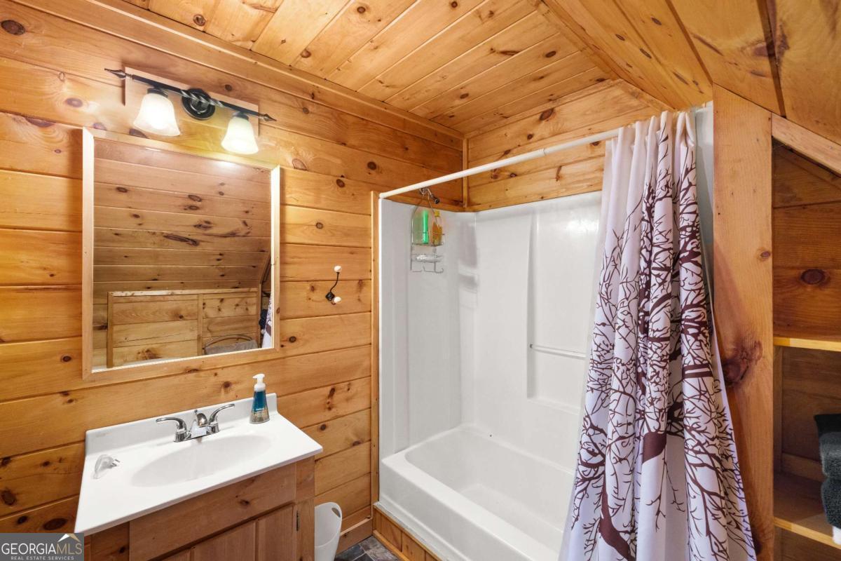 148 Dream Cove Road Blue Ridge GA 30513