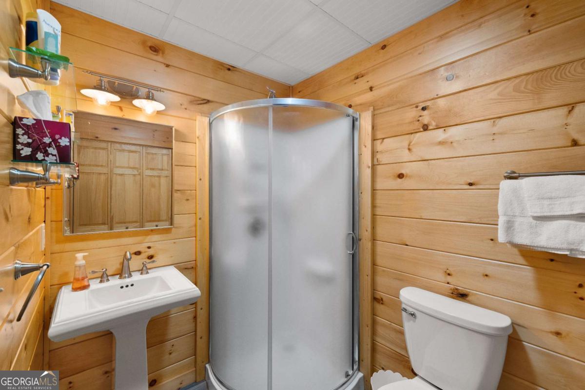 148 Dream Cove Road Blue Ridge GA 30513