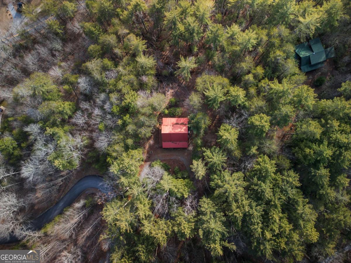 148 Dream Cove Road Blue Ridge GA 30513