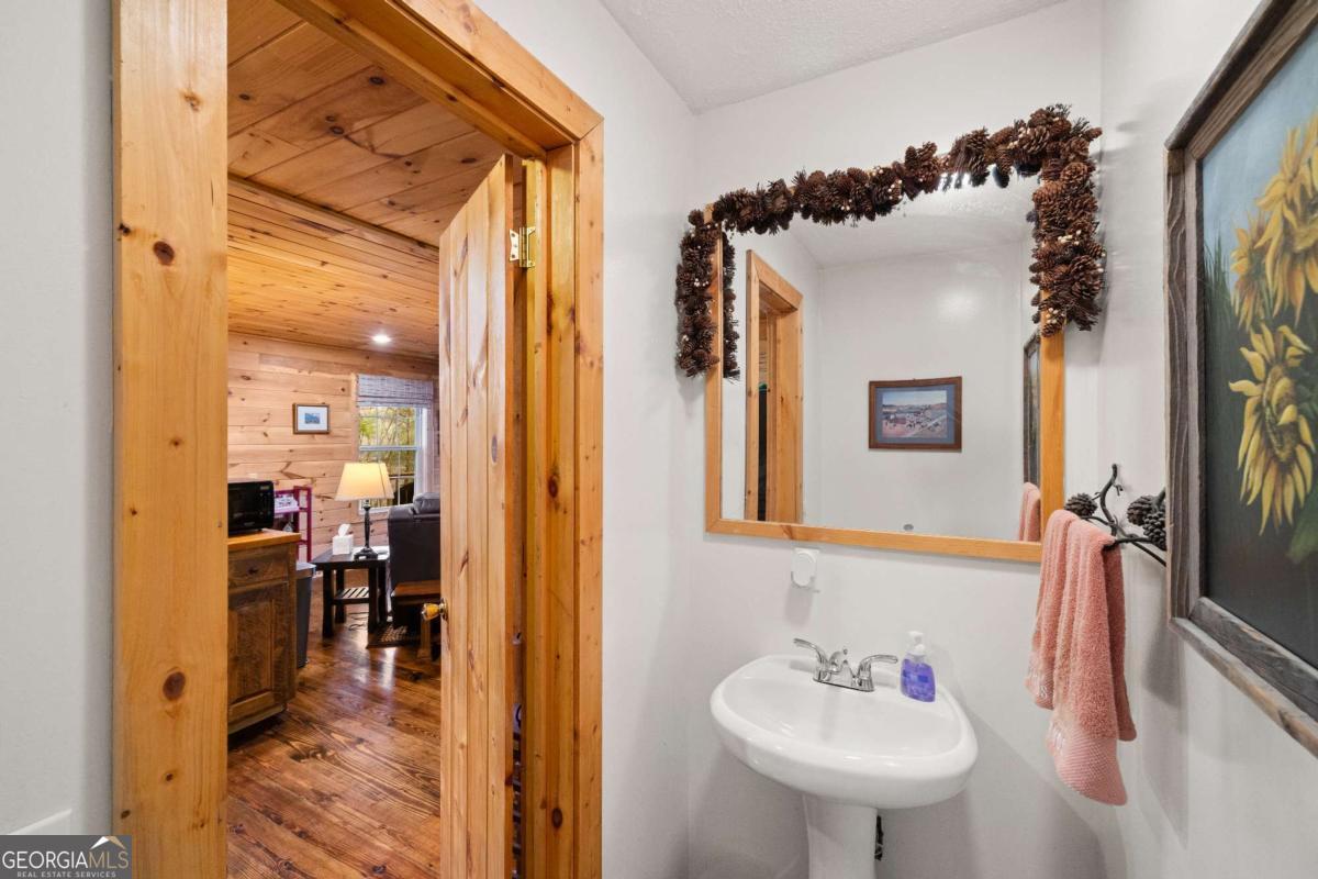148 Dream Cove Road Blue Ridge GA 30513