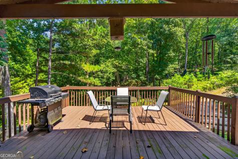 110 Hickory Hills Road Ellijay GA 30540