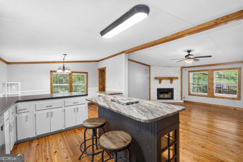 110 Hickory Hills Road Ellijay GA 30540