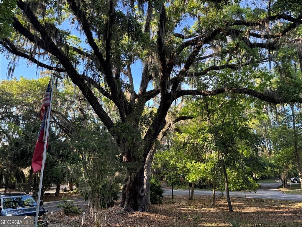 225 West Point Drive St. Simons Island GA 31522