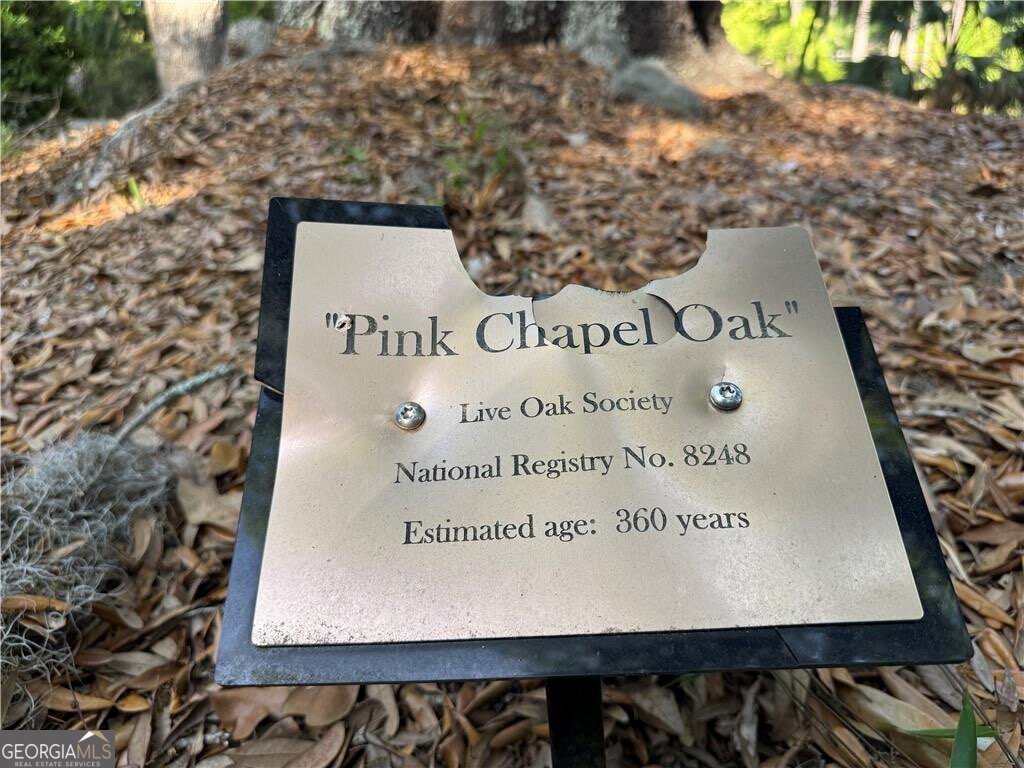 225 West Point Drive St. Simons Island GA 31522