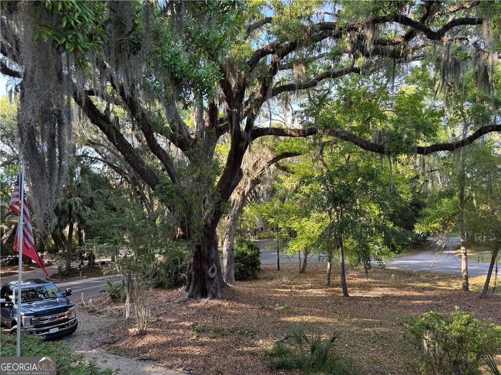 225 West Point Drive St. Simons Island GA 31522